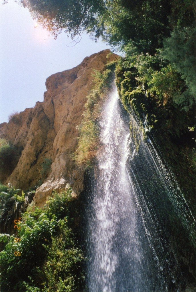 ダビデの滝（エンゲディの滝）
